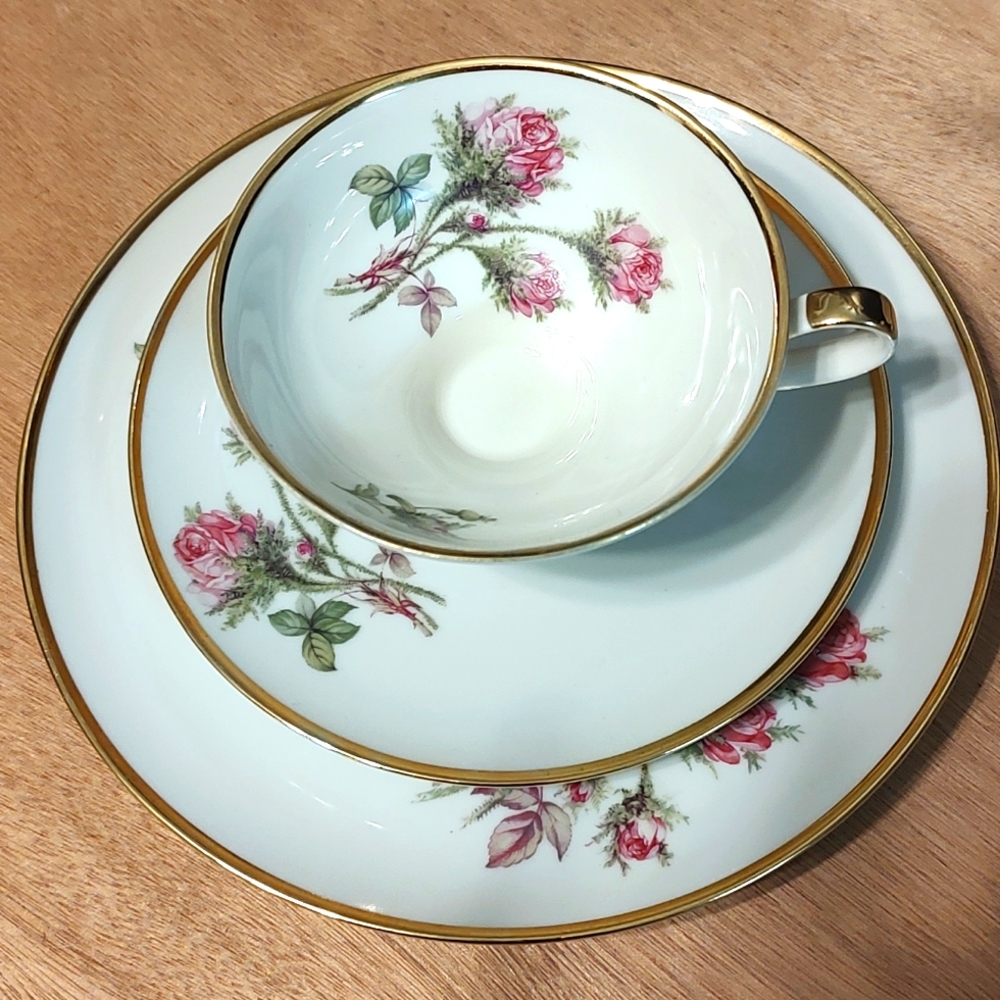 Sevelen Rheintal Suisse Cabbage Rose Tea Cup, Saucer & Dessert light academia
